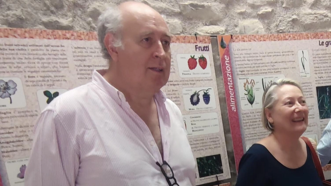 Il rapporto tra l’uomo e le piante è una storia affascinante che attraversa epoche e rivoluzioni. E la mostra aperta... Il rapporto tra l’uomo e le piante è una storia affascinante che attraversa epoche e rivoluzioni. E la mostra aperta...