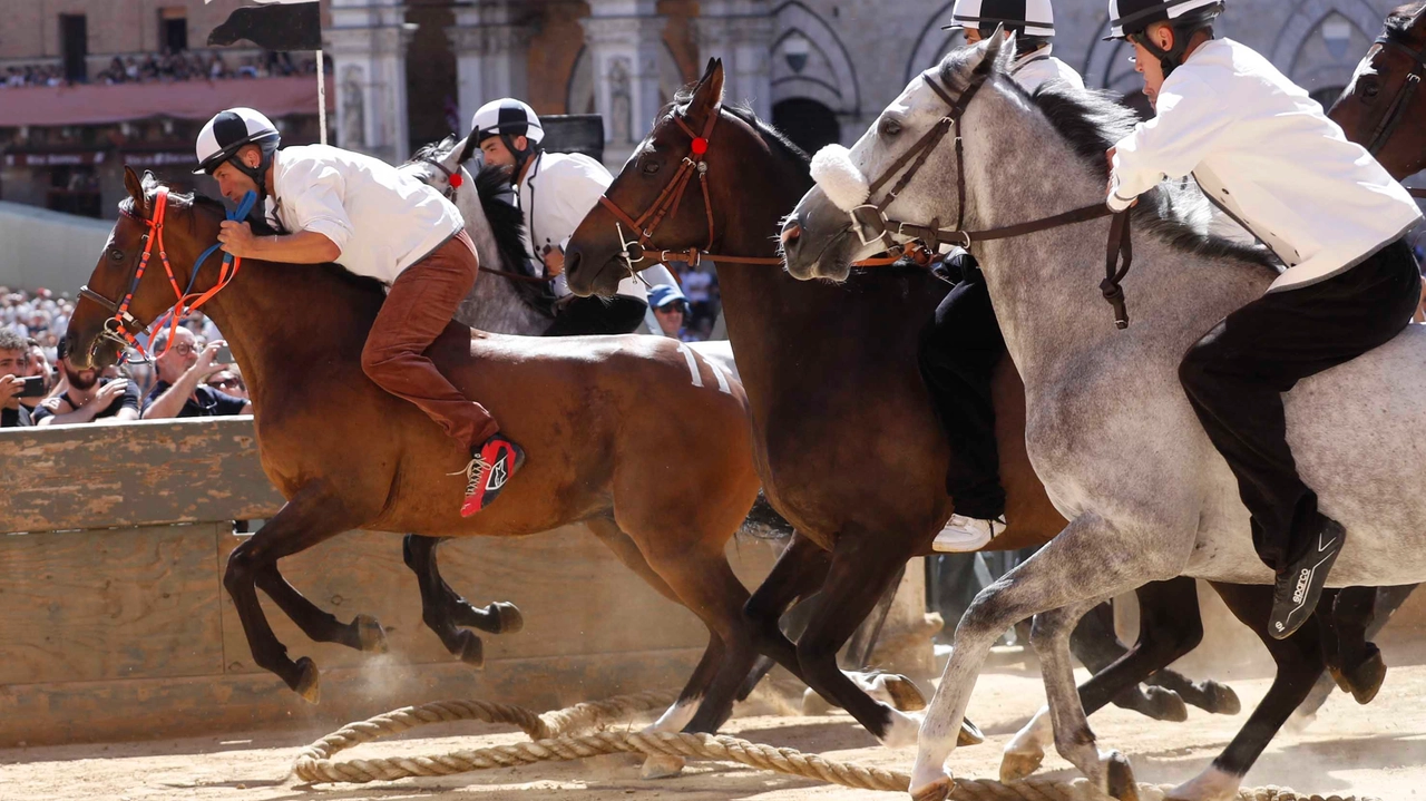 Foto Paolo Lazzeroni-Siena-: PALIO LUGLIO 2025 - BATTERIE Foto Paolo Lazzeroni-Siena-: PALIO LUGLIO 2025 - BATTERIE