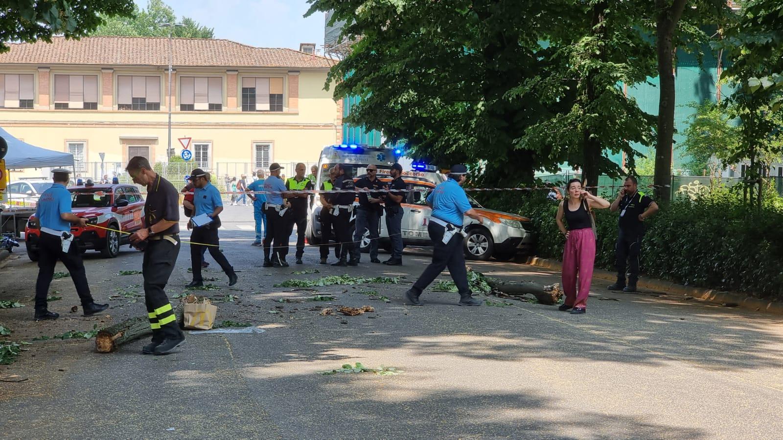 travolta da un grosso ramo in attesa del concerto dei guns n8217 roses paura alle cascine