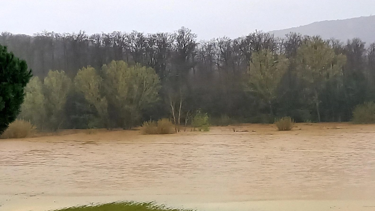 Ieri alle 19,30 il fiume a Poggio ha raggiunto il terzo livello di guardia. La circolazione dopo l’annuncio dell’allerta rossa è andata in tilt. Bacchereto isolata per una frana: non più raggiungibile da Carmignano. Ieri alle 19,30 il fiume a Poggio ha raggiunto il terzo livello di guardia. La circolazione dopo l’annuncio dell’allerta rossa è andata in tilt. Bacchereto isolata per una frana: non più raggiungibile da Carmignano.