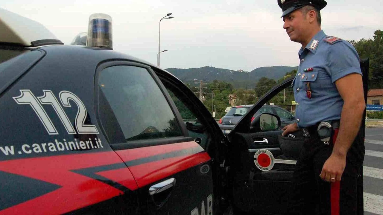I controlli dei carabinieri I controlli dei carabinieri