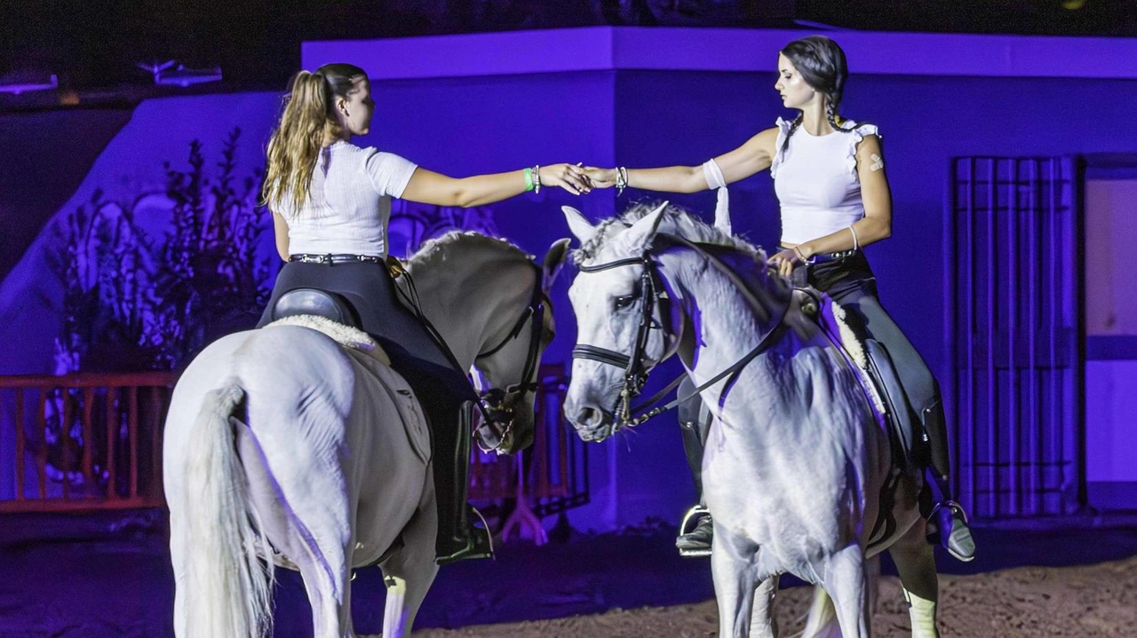 Inclusione sociale e solidarietà saranno i temi della Mostra del Cavallo Inclusione sociale e solidarietà saranno i temi della Mostra del Cavallo