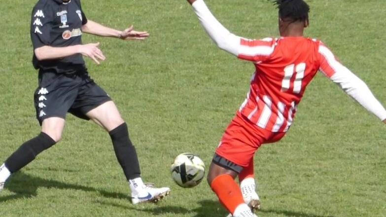 Ancora pochi giorni e poi il mondo del calcio dilettantistico si metterà in moto per la nuova stagione: ad aprire... Ancora pochi giorni e poi il mondo del calcio dilettantistico si metterà in moto per la nuova stagione: ad aprire...
