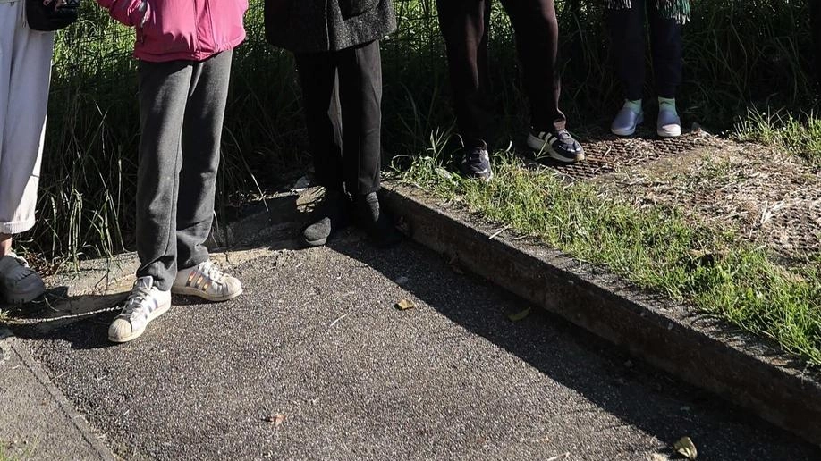 Degrado e accampamenti a Firenze: residenti chiedono riqualificazione urgente dell'area popolare di via Pietri. Proprietà e Comune in stallo legale. Degrado e accampamenti a Firenze: residenti chiedono riqualificazione urgente dell'area popolare di via Pietri. Proprietà e Comune in stallo legale.