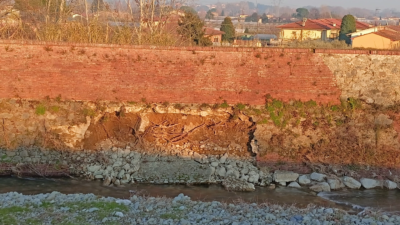 La situazione del muro dell’argine della Pescia a Macchie di San Piero La situazione del muro dell’argine della Pescia a Macchie di San Piero