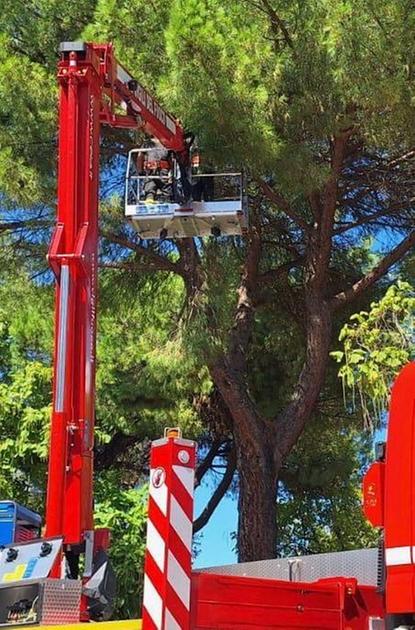https://www.lanazione.it/image-service/view/acePublic/alias/contentid/YjNiZmYxZDItY2Q4OC00/0/maltempo-decine-di-interventi-per-gli-alberi.jpeg?f=1.90:1&h=630