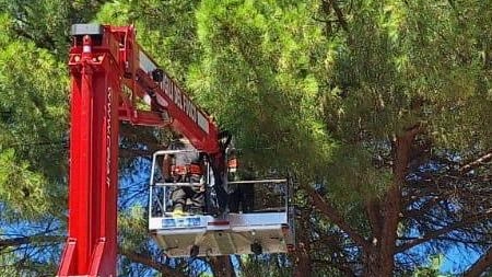 Il violento temporale che si è abbattuto nella serata di giovedì su Prato e provincia ha richiesto un notevole impegno... Il violento temporale che si è abbattuto nella serata di giovedì su Prato e provincia ha richiesto un notevole impegno...