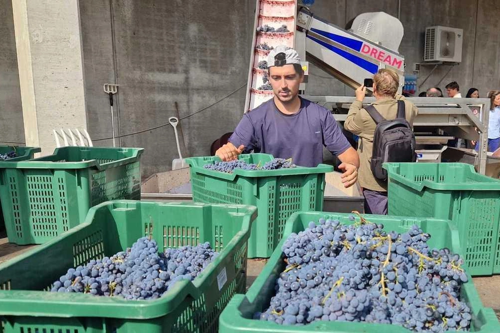 Produttori toscani di vino a rischio con i dazi di Trump