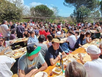 immagine articolo