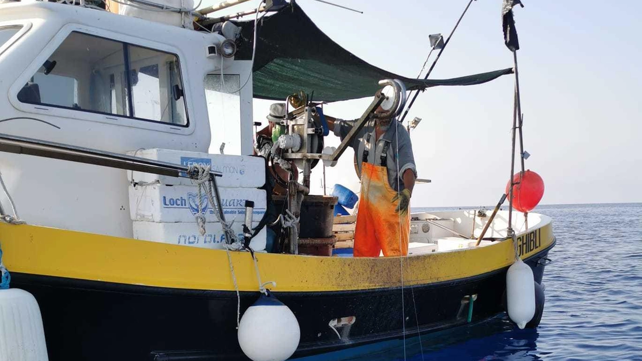 Benedetto Policardo a bordo di Ghibli, imbarcazione per la piccola pesta che fa parte della flotta ormeggiata a Monterosso Benedetto Policardo a bordo di Ghibli, imbarcazione per la piccola pesta che fa parte della flotta ormeggiata a Monterosso