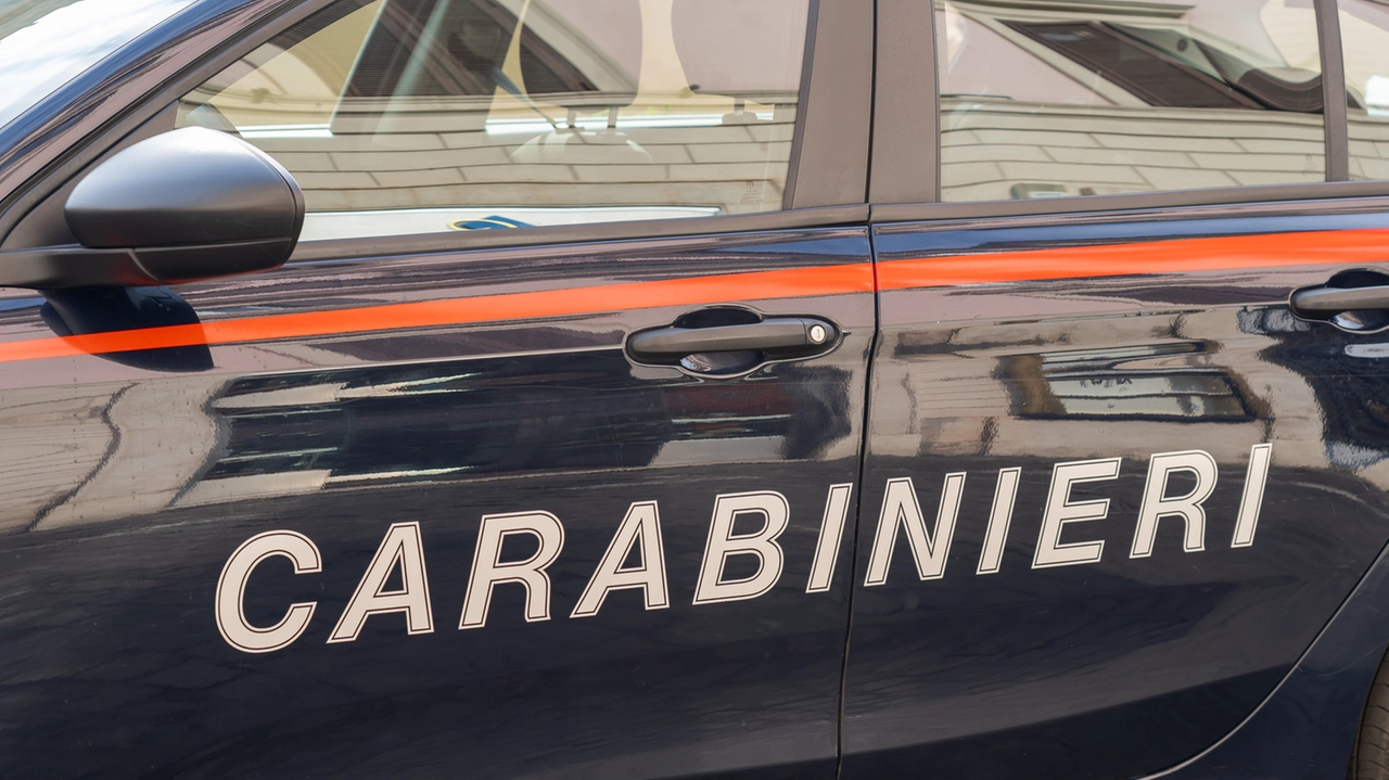 Carabinieri (foto di repertorio) Carabinieri (foto di repertorio)