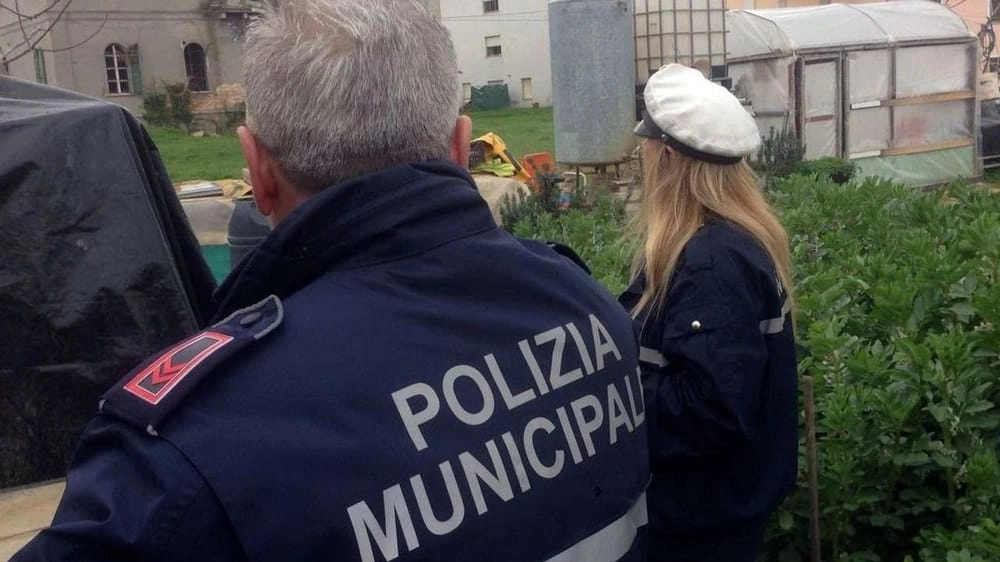 Polizia locale Polizia locale