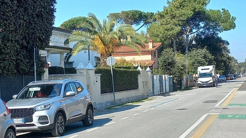 Appello dei commercianti anche per far vivere di più il parco della Versiliana Appello dei commercianti anche per far vivere di più il parco della Versiliana