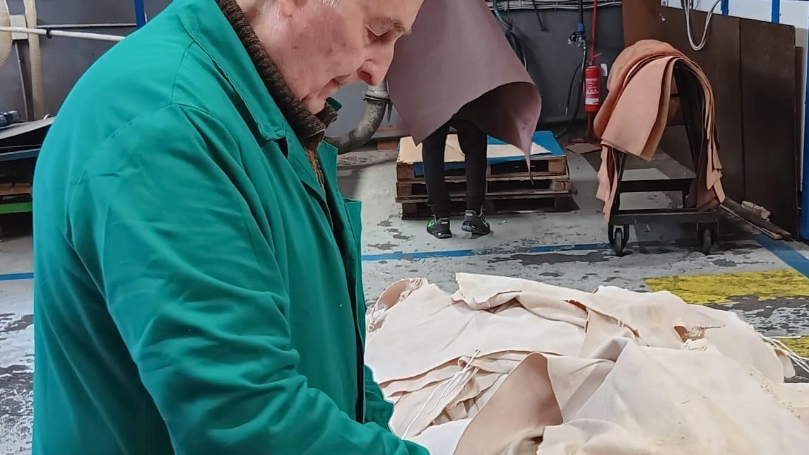In campo anche la Lega con Vannacci, e i vertici locali e regionali di Forza Italia In campo anche la Lega con Vannacci, e i vertici locali e regionali di Forza Italia