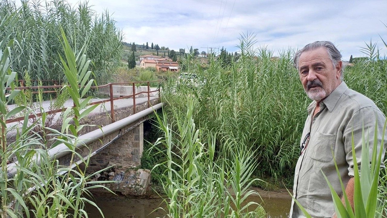 Gabriele Giovannini, uno dei consorziati Gabriele Giovannini, uno dei consorziati