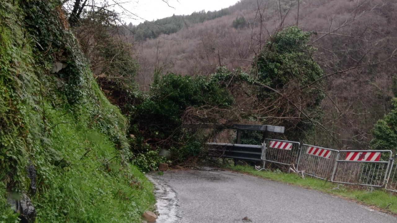 La frana che ha colpito la SP34 Val di Forfora, tra le frazioni di Crespole e Lanciole La frana che ha colpito la SP34 Val di Forfora, tra le frazioni di Crespole e Lanciole