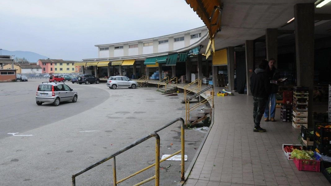 Trasloco in vista per i banchi dell’ingrosso ortofrutticolo di Pulìa (Alcide) Trasloco in vista per i banchi dell’ingrosso ortofrutticolo di Pulìa (Alcide)