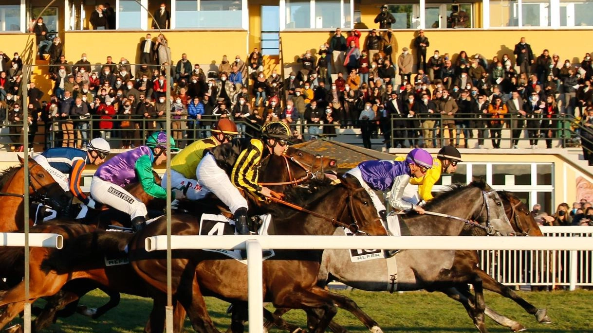 Un arrivo all’ippodromo di San Rossore, le emozioni sono assicurate Un arrivo all’ippodromo di San Rossore, le emozioni sono assicurate