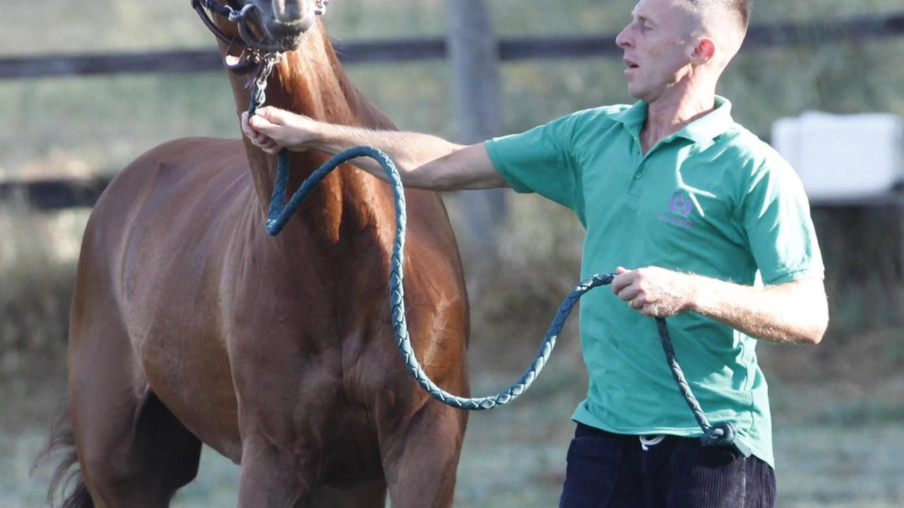 Tamurè è squalificato. E di questi tempi, quando si respira aria di Palio, si parla di giubbetti e di lotto... Tamurè è squalificato. E di questi tempi, quando si respira aria di Palio, si parla di giubbetti e di lotto...
