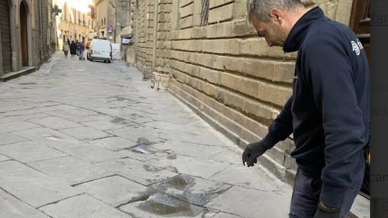 Trattamento antilarve Trattamento antilarve