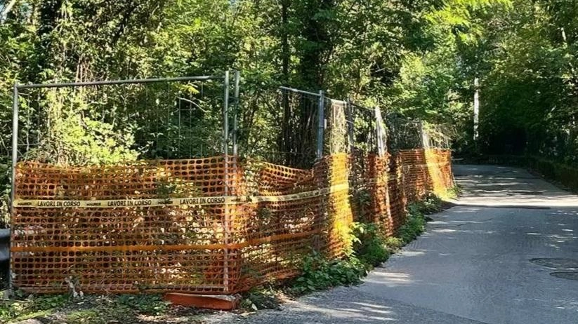 In arrivo i interventi per sistemare la frana di via Ghigliolo, dopo 16 anni di disagi nella circolazione nella zona. In alto la sindaca di Sarzana Cristina Ponzanelli In arrivo i interventi per sistemare la frana di via Ghigliolo, dopo 16 anni di disagi nella circolazione nella zona. In alto la sindaca di Sarzana Cristina Ponzanelli