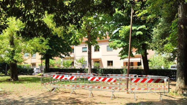 tagliato per motivi di sicurezza un albero in piazza della repubblica a montevarchi