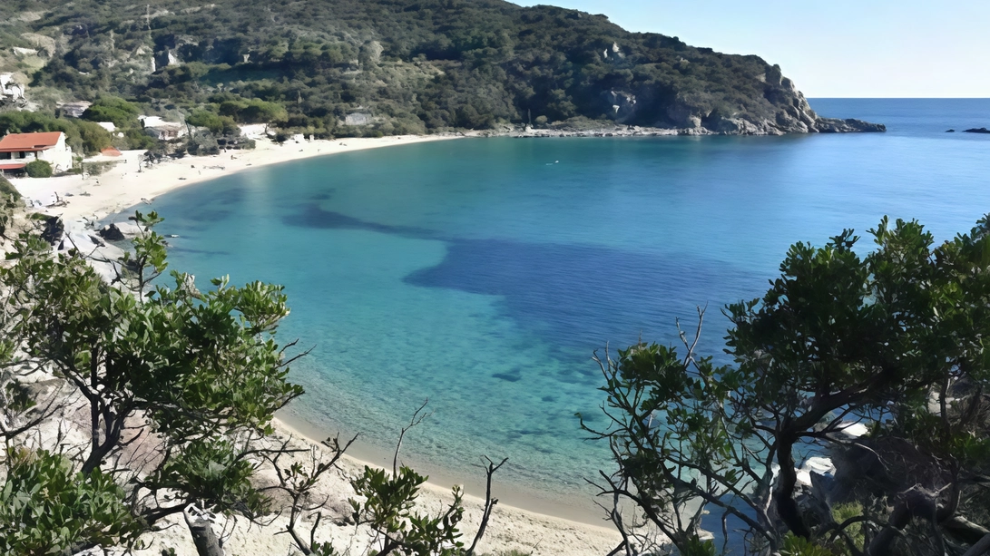 Le recensioni degli utenti di Google Maps indicano i dodici migliori lidi. Svettano Cavoli, Padulella e Capo Bianco, insieme al mare delle Cannelle. Le recensioni degli utenti di Google Maps indicano i dodici migliori lidi. Svettano Cavoli, Padulella e Capo Bianco, insieme al mare delle Cannelle.