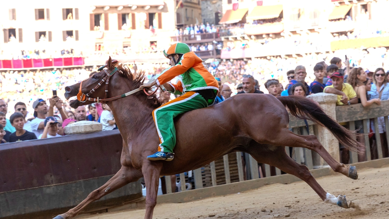 Palio, la Selva vince la quarta prova (Di Pietro) Palio, la Selva vince la quarta prova (Di Pietro)