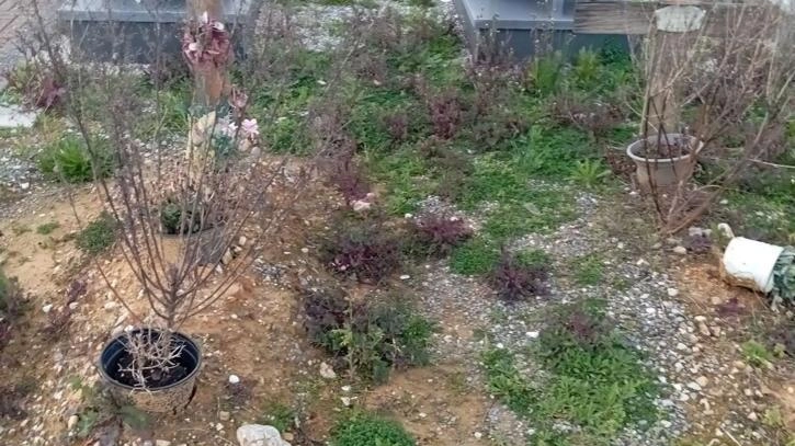 Stavolta la protesta non riguarda i numerosi e, purtroppo, continui furti al cimitero di Altopascio (ma la stessa piaga è...
