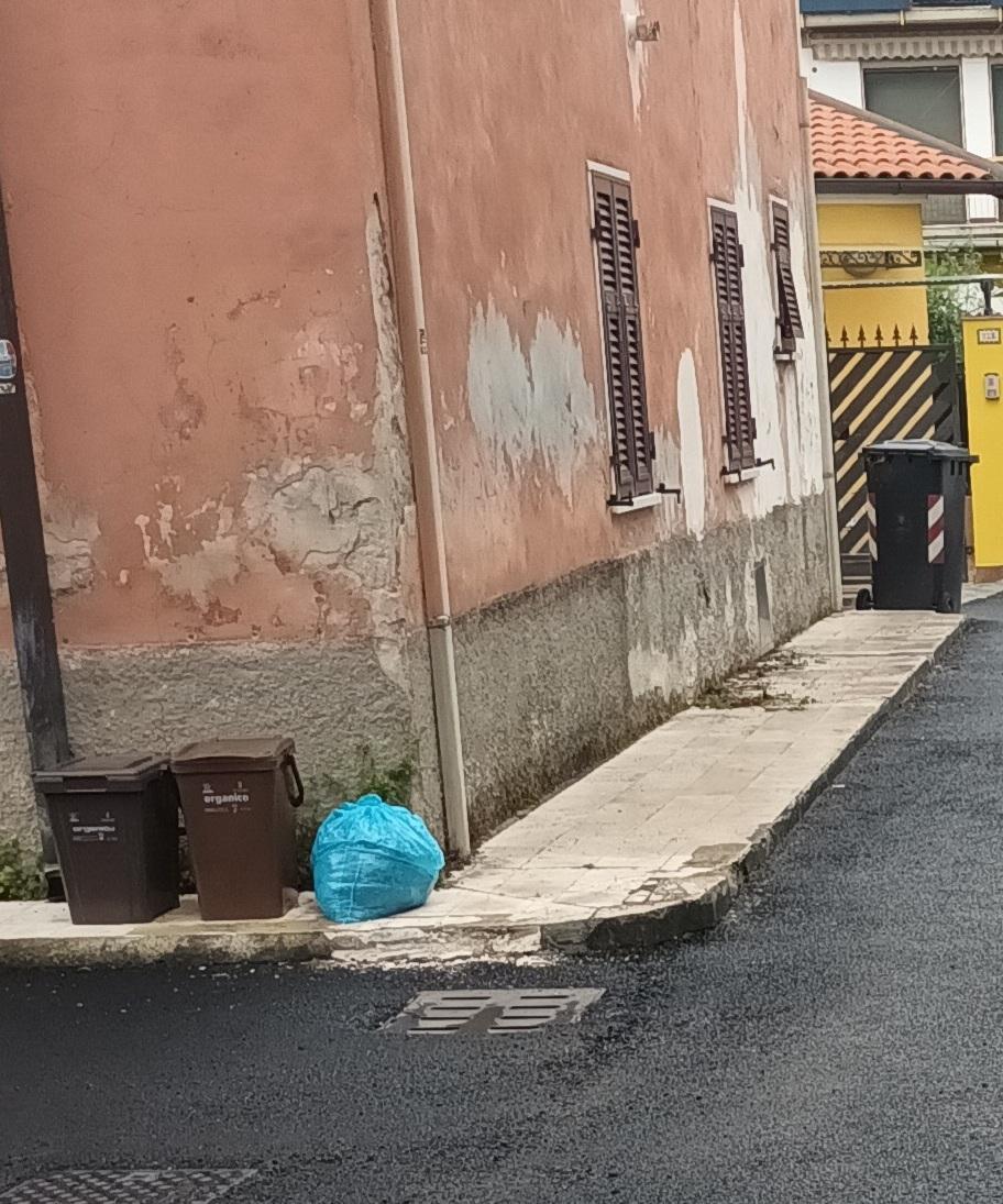 Mancato ritiro degli sfalci, Bartolomei non ci sta: "Ma quale telefonata, in questi casi non serve"