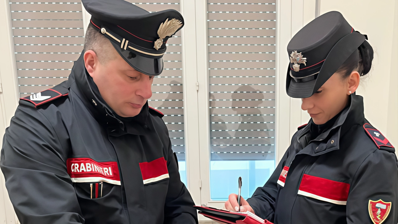 Sul caso indagano i carabinieri (foto di repertorio)