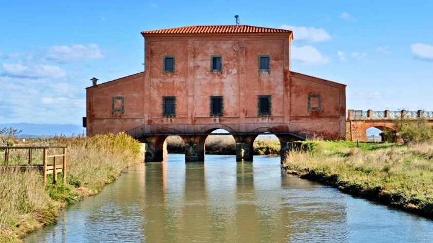 La gestione della Riserva Naturale Diaccia Botrona a Castiglione della Pescaia si rinnova con progetti di valorizzazione e conservazione ambientale, supportati da finanziamenti europei e collaborazioni istituzionali. La gestione della Riserva Naturale Diaccia Botrona a Castiglione della Pescaia si rinnova con progetti di valorizzazione e conservazione ambientale, supportati da finanziamenti europei e collaborazioni istituzionali.