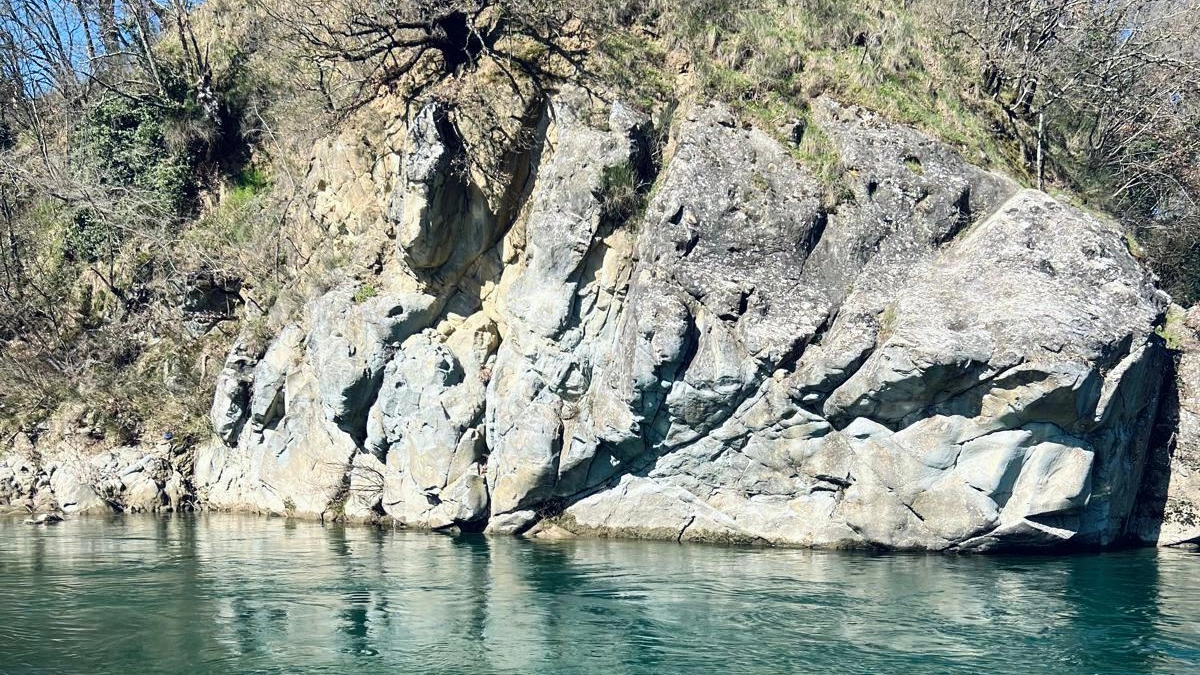 buonriposo buonriposo