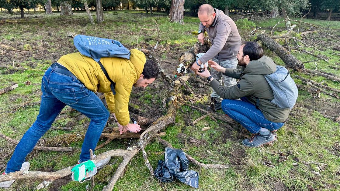 san rossore con watchedge l intelligenza artificiale è al servizio della natura da Lanazione.it san rossore con watchedge l intelligenza artificiale è al servizio della natura