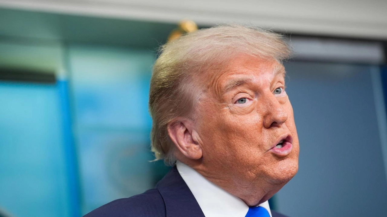'Il Canada ha agito in modo stupido' 'Il Canada ha agito in modo stupido'