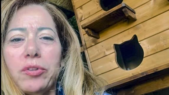 Marta Serpolla è l’anima dell’iniziativa: «La Gattovilla è un altro rifugio per ospitare al riparo i randagi mettendo cibo e acqua» Marta Serpolla è l’anima dell’iniziativa: «La Gattovilla è un altro rifugio per ospitare al riparo i randagi mettendo cibo e acqua»