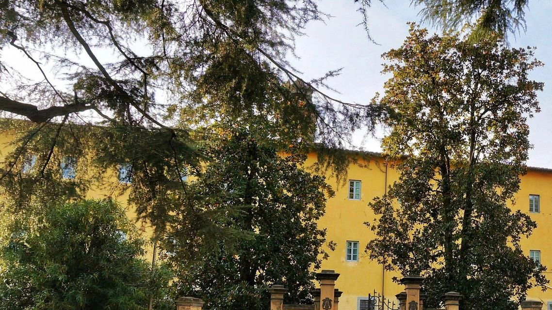 Lo spostamento della sede del Liceo Lorenzini è un tema caldo a Pescia Lo spostamento della sede del Liceo Lorenzini è un tema caldo a Pescia