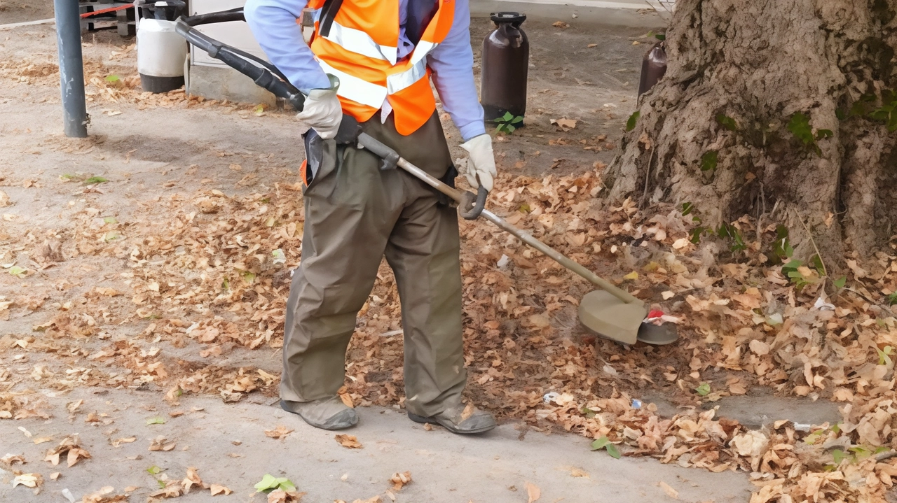 Il Comune di Fucecchio affida la manutenzione delle strade comunali per la sicurezza e il miglioramento della qualità urbana, con particolare attenzione al verde e alla sostenibilità ambientale. Il Comune di Fucecchio affida la manutenzione delle strade comunali per la sicurezza e il miglioramento della qualità urbana, con particolare attenzione al verde e alla sostenibilità ambientale.