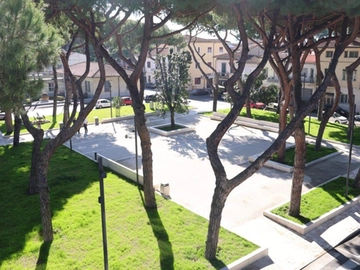 immagine articolo