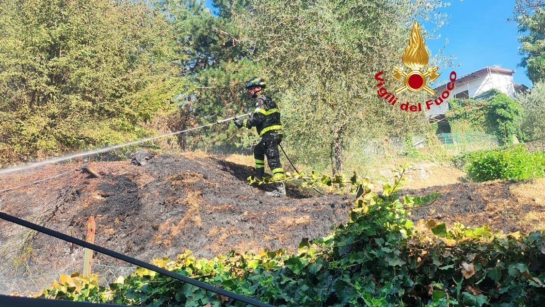 I vigili del fuoco intervenuti per l'incendio a Londa I vigili del fuoco intervenuti per l'incendio a Londa