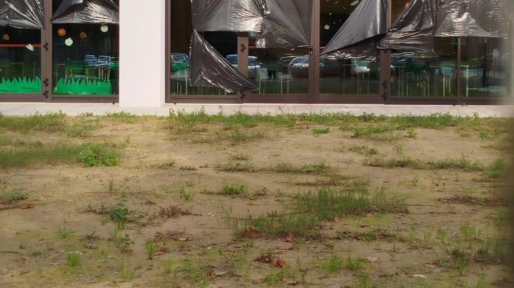 L’attacco del Pd di Agliana: "Manca una palestra, si fa ginnastica nell’atrio" L’attacco del Pd di Agliana: "Manca una palestra, si fa ginnastica nell’atrio"
