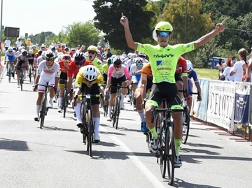 immagine articolo