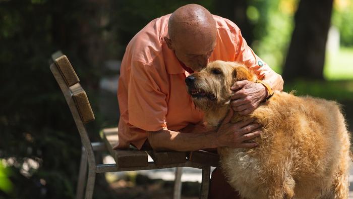 https://www.lanazione.it/image-service/view/acePublic/alias/contentid/YjZiNzQ3ZDUtN2Y5Yy00/0/in-toscana-una-proposta-di-legge-per-seppellire-gli-animali-da-compagnia-insieme-ai-proprietari.jpeg?f=16:9&w=1200&h=630