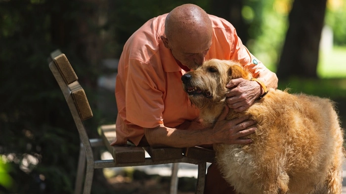 In Toscana una proposta di legge per seppellire gli animali da compagnia insieme ai proprietari In Toscana una proposta di legge per seppellire gli animali da compagnia insieme ai proprietari