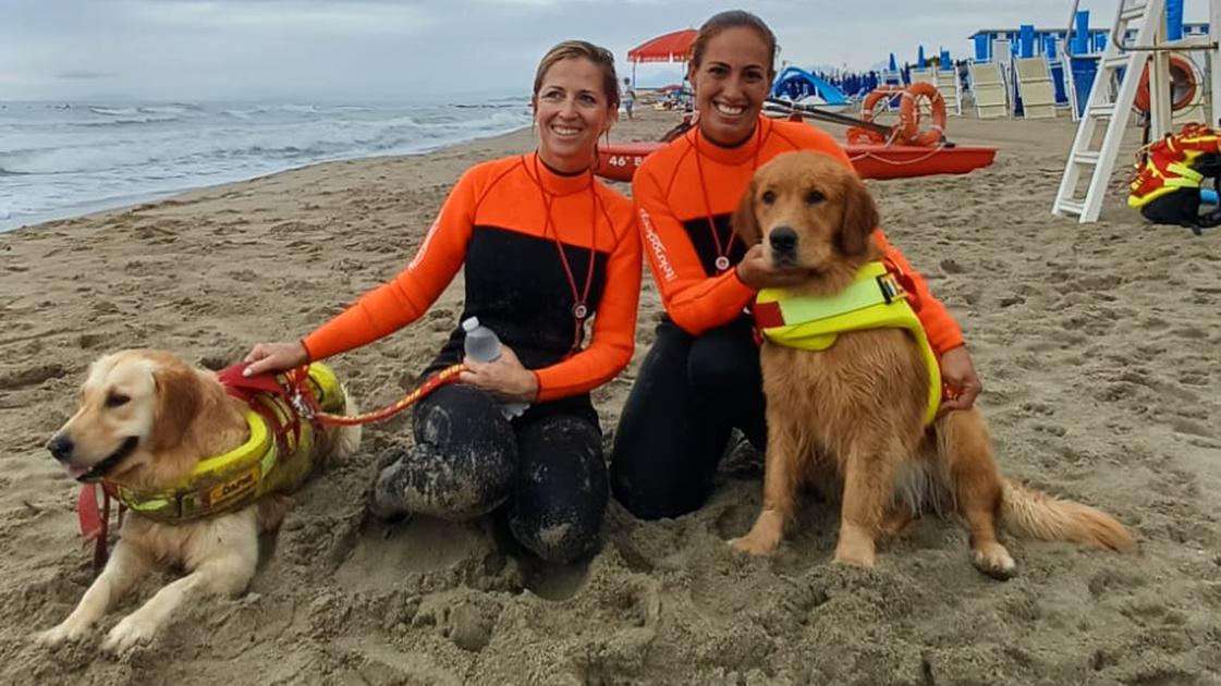 Cani bagnino, angeli a quattro zampe. “Alma, un dono dal cielo” Cani bagnino, angeli a quattro zampe. “Alma, un dono dal cielo”