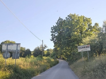 immagine articolo