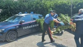 La droga sequestrata La droga sequestrata