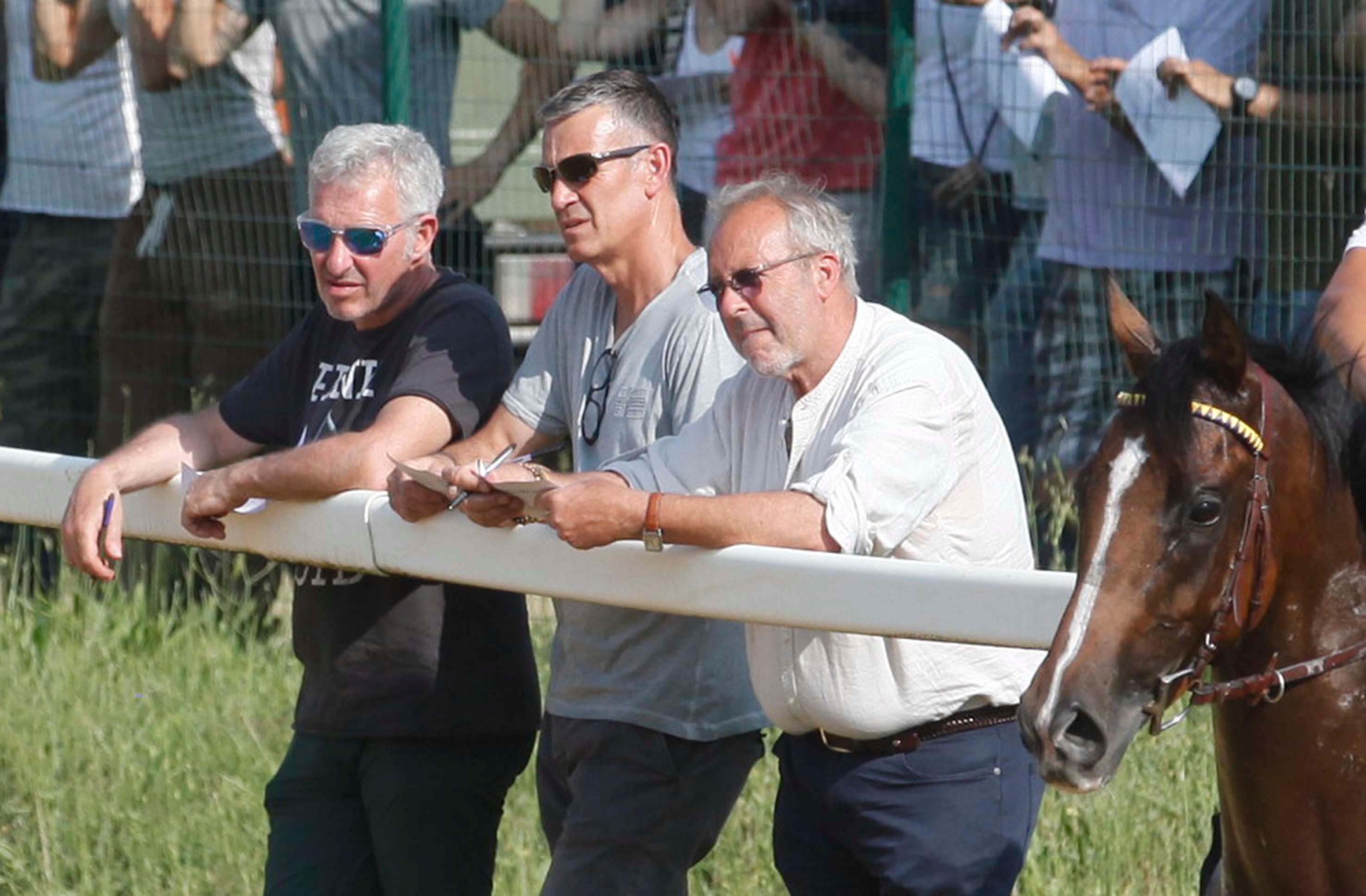cavalli da palio ecco gli orari delle visite s8217inizia con tale e quale