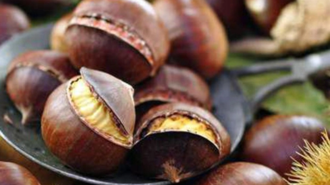 Castagne (foto Ansa)