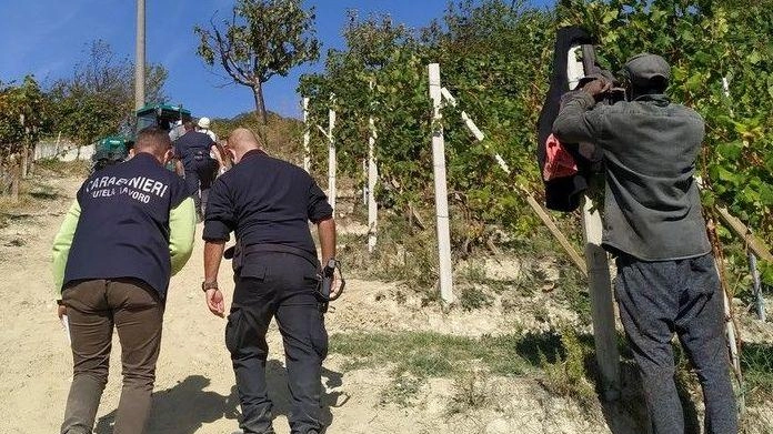 I carabinieri hanno collaborato con l’Ispettorato del lavoro (foto d’archivio) I carabinieri hanno collaborato con l’Ispettorato del lavoro (foto d’archivio)